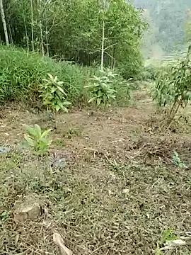 01_ANNA_01 라이브 XXX 채팅