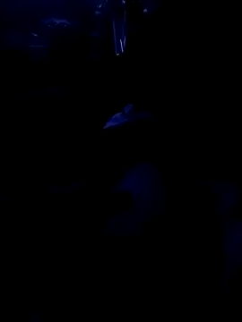 crazycam619 Obrolan Langsung XXX