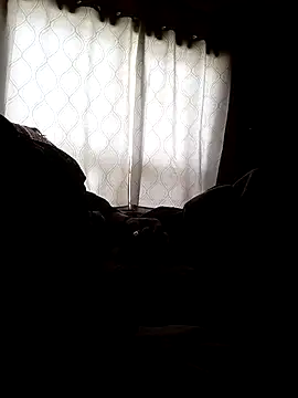 Show modela openallforyou na web-kameri