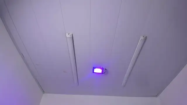 IsabellRodriguez18 Live XXX-Chat