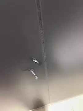 Richmcgee Live XXX Chat