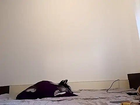 milf44milf Webcam-Show