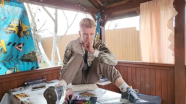 Vuittonのウェブカメラショー