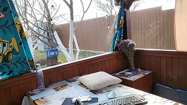 โชว์เว็บแคมของ Vuitton