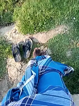 dolphiinn ওয়েবক্যাম শো