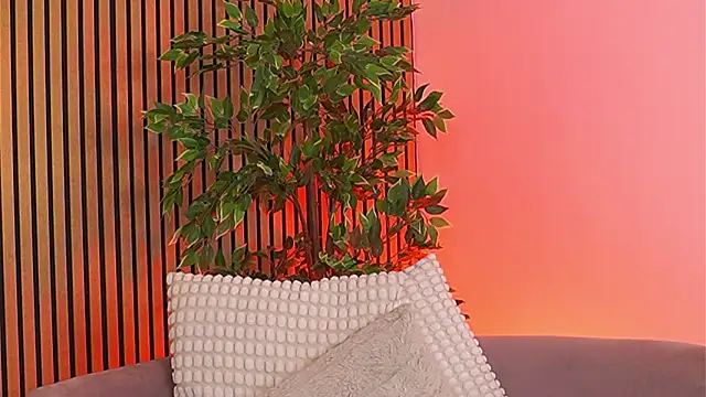 Avril_Cyrus Chat XXX in diretta