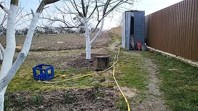 Živý XXX chat Vuitton