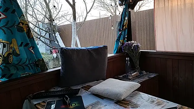 Show webcam de Vuitton