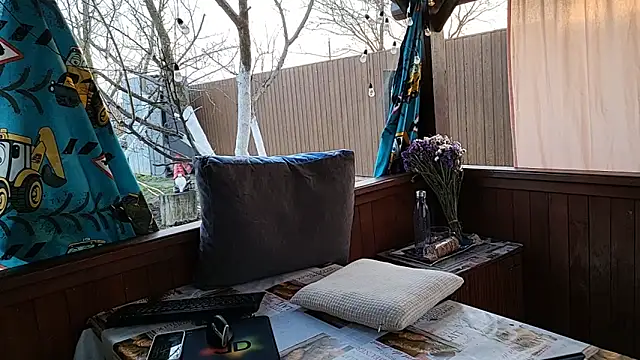 Show Webcam de Vuitton