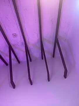 دردشة AngelSwift الجنسية المباشرة