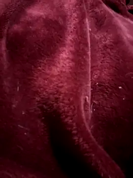 Chat XXX en directo de Scarlet_curly8a