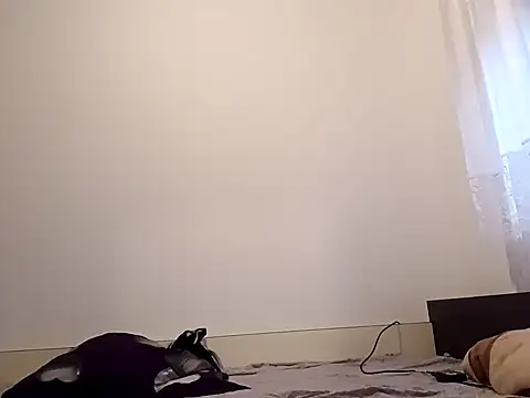 Webkamerová show milf44milf