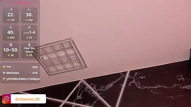 AerumChae 网络视讯表演