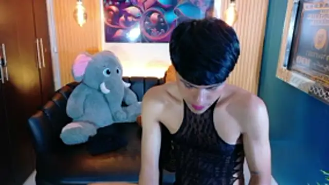 Evans_Robinsonのウェブカメラショー