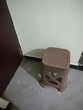 TamilDreamgirl08 live XXX chat