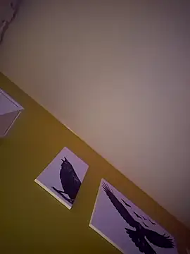 calebdevil Webcam show