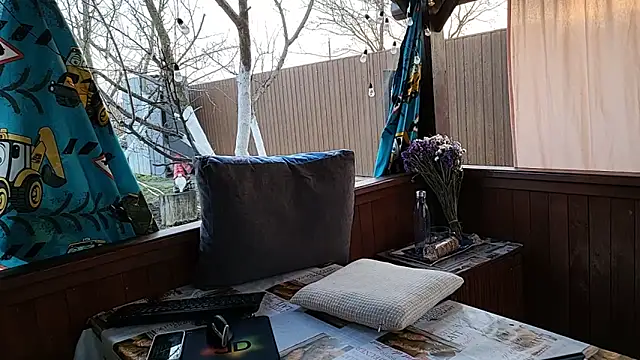 Vuitton's Webcam Show