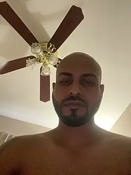 islandvybee55's Webcam Show