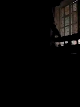 Brian_johns – Naživo XXX chat