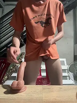 Show webcam de MEFUN-