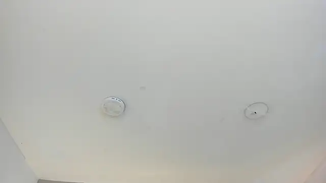 cellestehotのライブXXXチャット