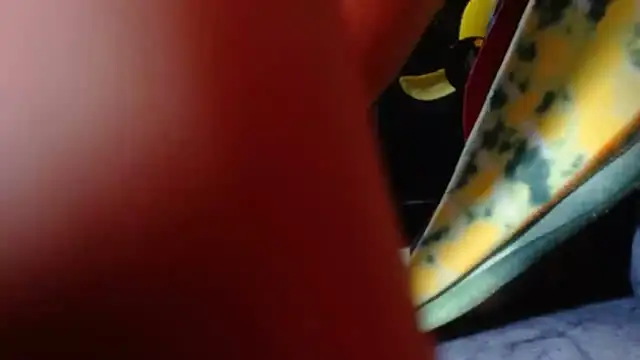 janex69's Live XXX Chat