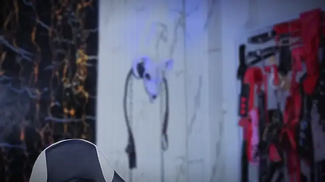 Guxplo_ 现场XXX聊天