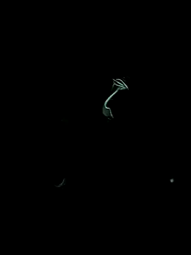 Chat XXX ao vivo de kenzzzz