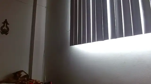 Crystal_Star_ élő XXX-chatje