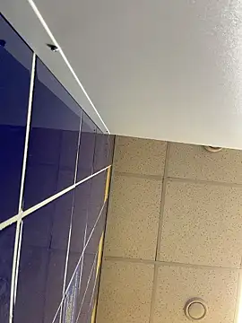 CityLynxn Webbikameraesitys