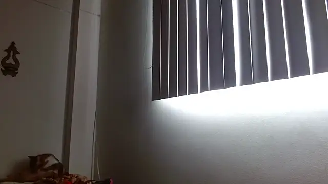 Chat XXX Live Crystal_Star_