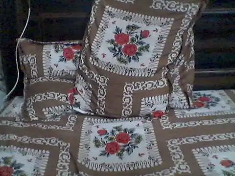 Delhi_Gurugram_Real_Meet: διαδικτυακό σόου στην κάμερα