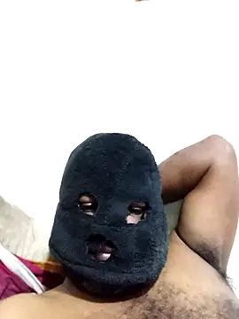 Hiptonos 在線直播表演