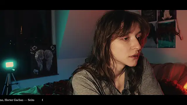 WebCora 现场XXX聊天