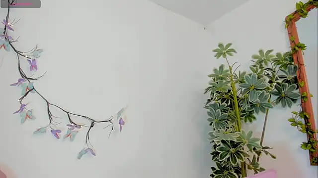 Онлайн чат XXX AfroditaVega_