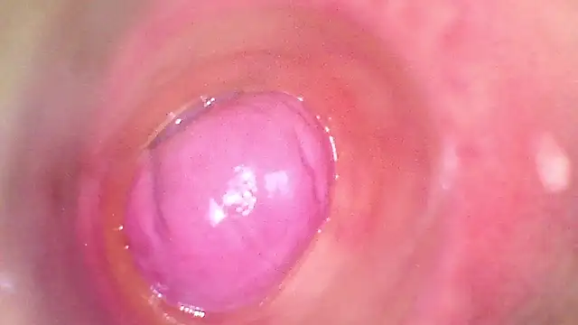 karol_kane Adlı Modelin Canlı XXX Sohbeti