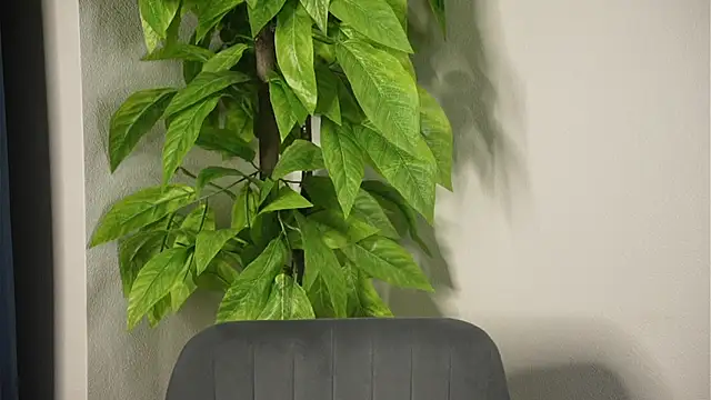 AllieGladwinn Live XXX chat