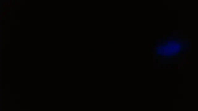 Chatroom XXX en direct de Sweetdirty1