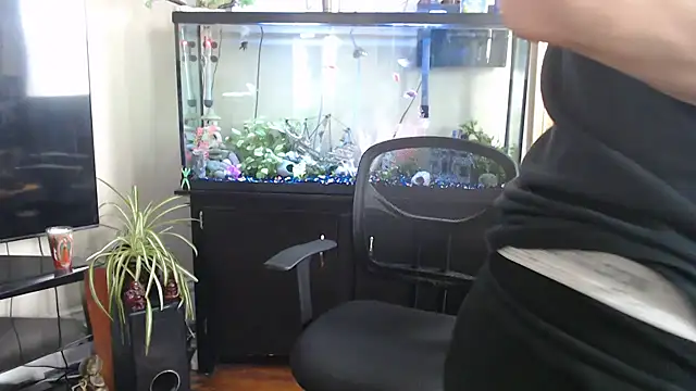 EspanolVato 网络视讯表演