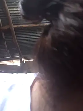 antonellahotimidan Live XXX chat