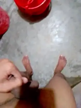 DeshiTiger Show Webcam