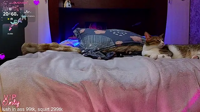 DanaMartina: απευθείας συνομιλία ΧΧΧ