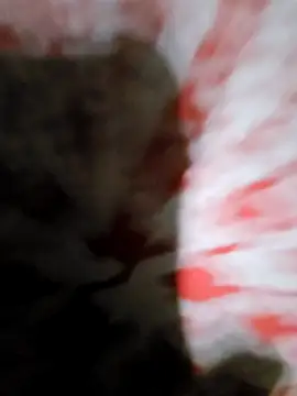 دردشة ItsBull88 الجنسية المباشرة