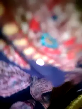 Chat XXX en directo de Lily4852