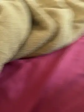 TheReticent_ Pertunjukan Webcam