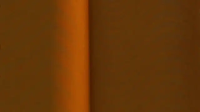 Chat XXX en directo de AngelicRice