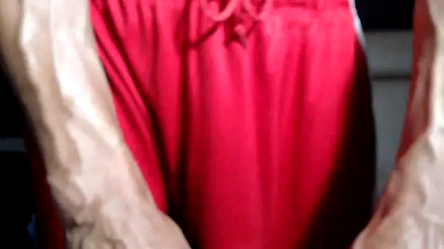 Show Webcam de ThickD2C