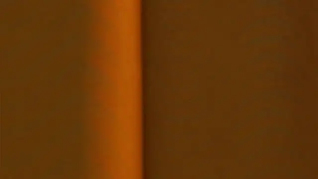 AngelicRice Obrolan Langsung XXX