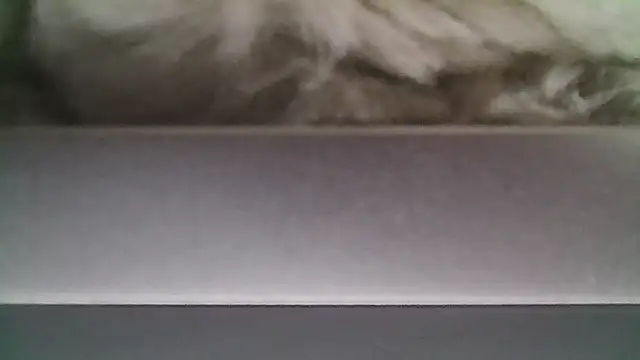 Вебкам-шоу giumy91