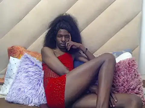 Show de TokyoXXX na webcam